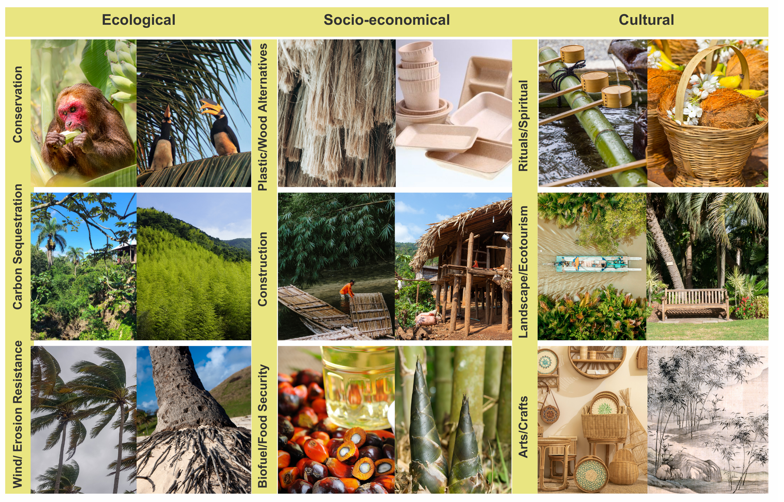 Figure 3: Grassy trees as versatile nature-based solutions