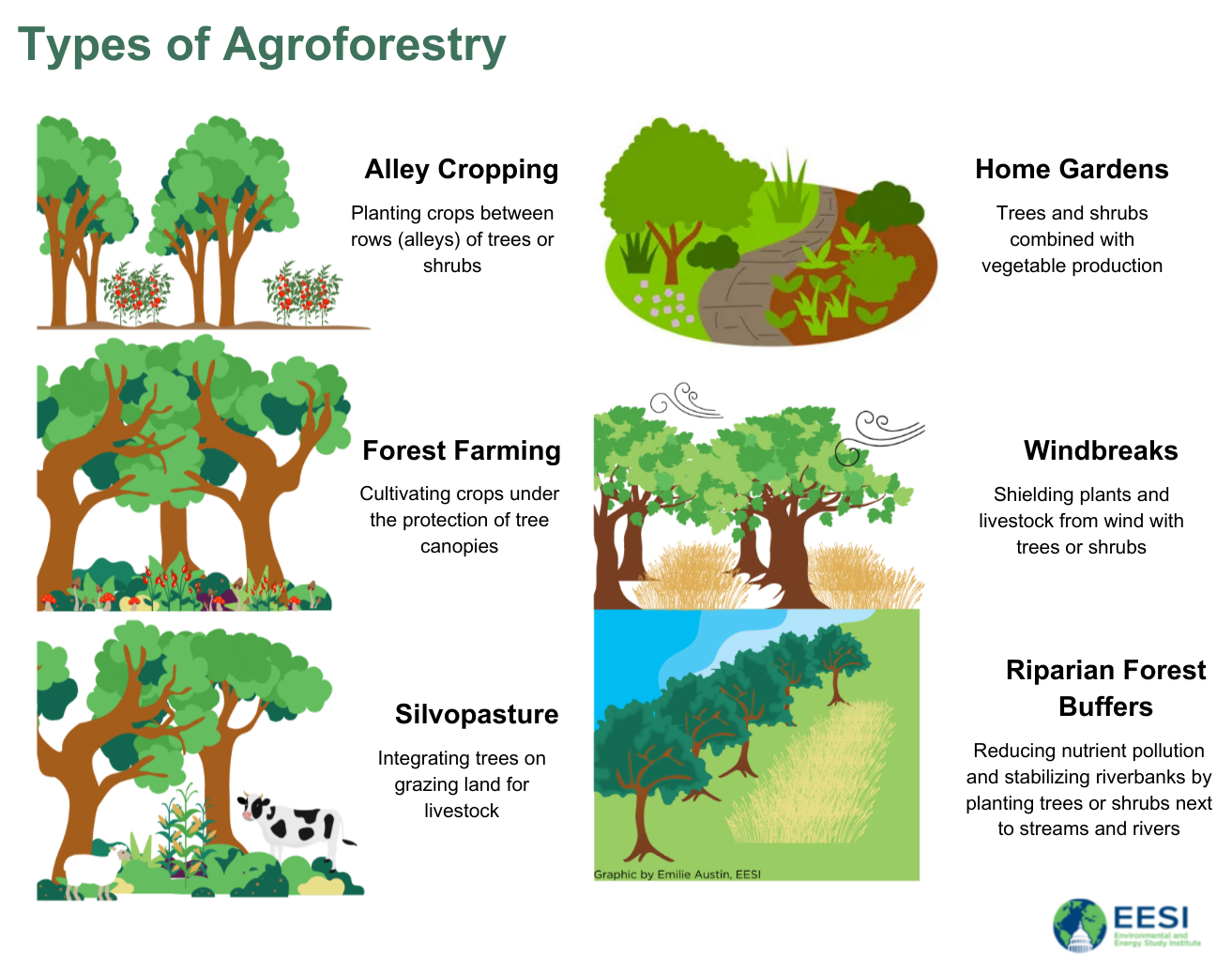 Common agroforestry practices: alley cropping, home gardens, forest farming, windbreaks, silvopasture, and riparian forest buffers